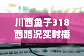刺股读书 第2页