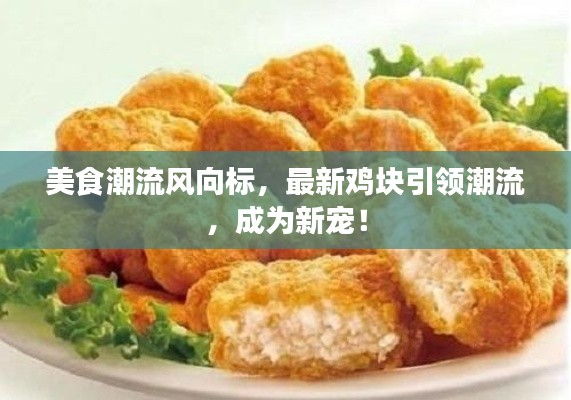 美食潮流风向标，最新鸡块引领潮流，成为新宠！