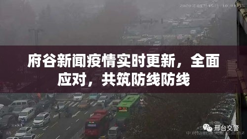 府谷新闻疫情实时更新，全面应对，共筑防线防线