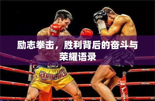 励志拳击，胜利背后的奋斗与荣耀语录