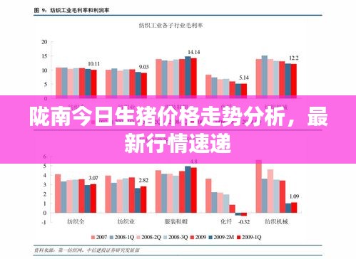 陇南今日生猪价格走势分析，最新行情速递