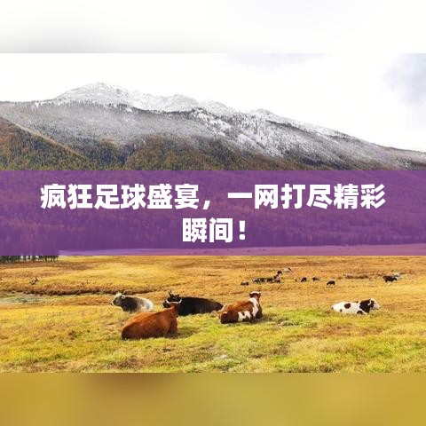 疯狂足球盛宴，一网打尽精彩瞬间！