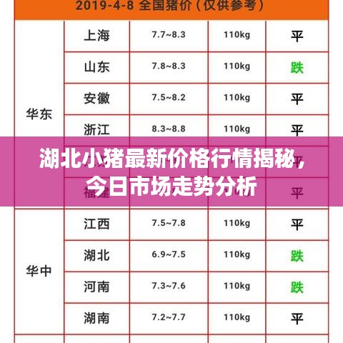 湖北小猪最新价格行情揭秘，今日市场走势分析