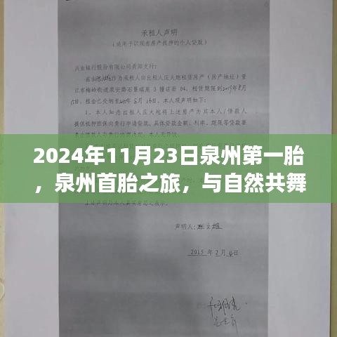 第1504页