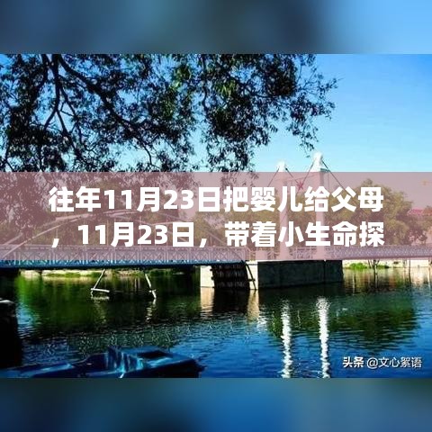 11月23日，婴儿交付与探索自然美景的奇妙之旅