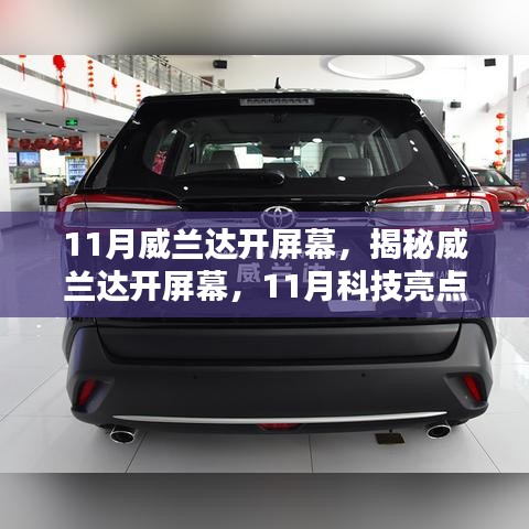项目介绍 第330页