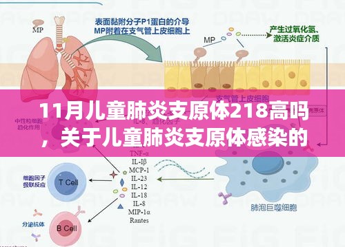 关于我们 第327页