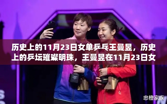 项目介绍 第327页