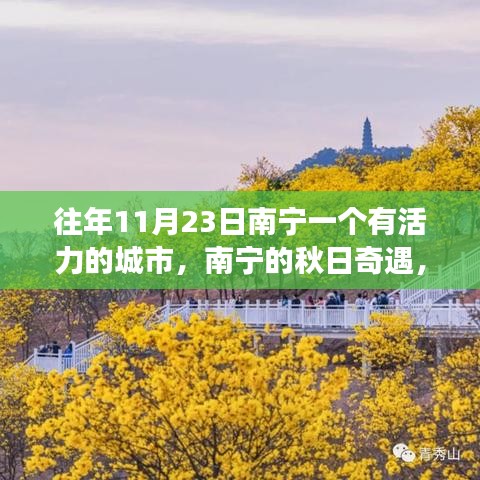 项目介绍 第326页
