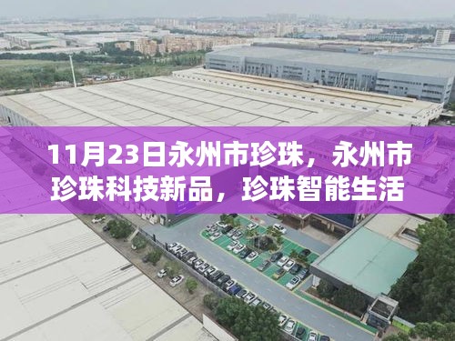 新闻动态 第355页