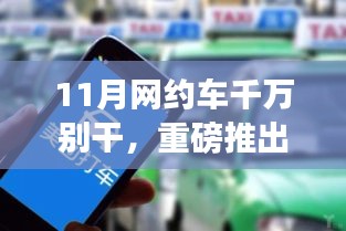 项目介绍 第325页