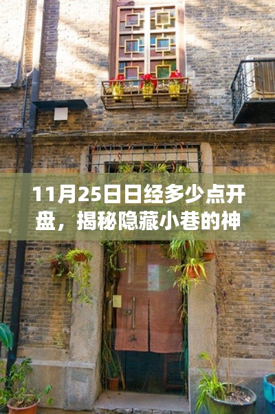 项目介绍 第324页