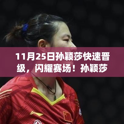 项目介绍 第323页