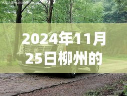 柳州凯迪拉克4S店励志篇章，超越梦想，驾驭未来