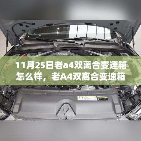 关于我们 第320页