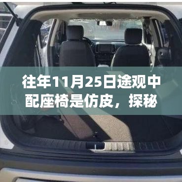 新闻动态 第351页