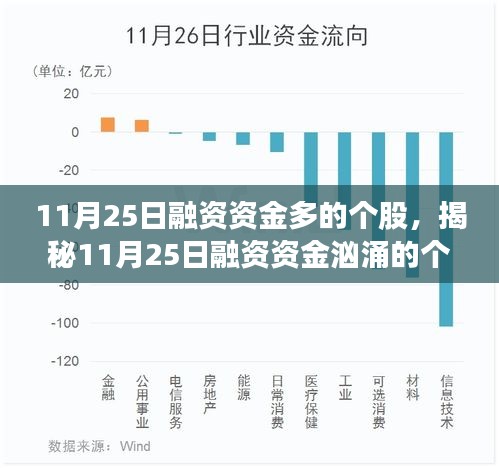 揭秘11月25日融资资金汹涌的个股，洞悉市场动向，把握投资机会！