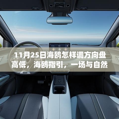 海鸥指引下的心灵之旅，与自然共舞，探寻方向盘高低调整与心灵宁静港湾的奇妙之旅