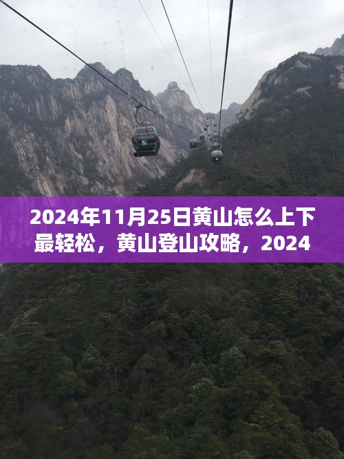 东张西望 第3页