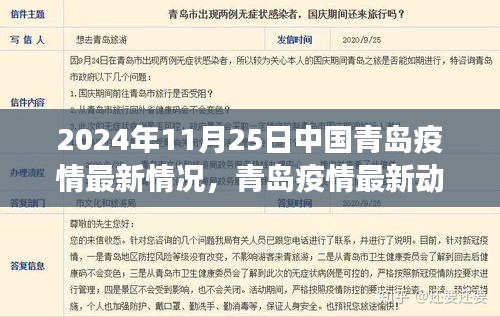 青岛疫情最新动态，聚焦防控进展与现状，共同关注青岛疫情最新情况（2024年11月25日）