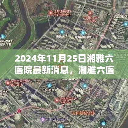 关于我们 第307页