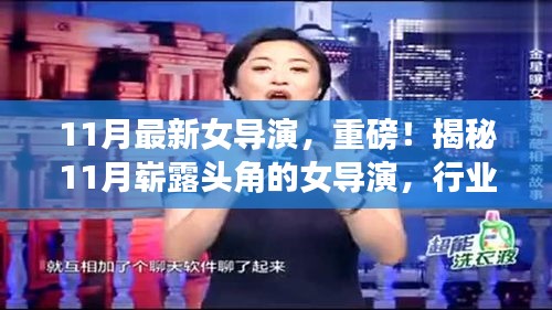11月最新女导演，重磅！揭秘11月崭露头角的女导演，行业新星，引领影视新潮流