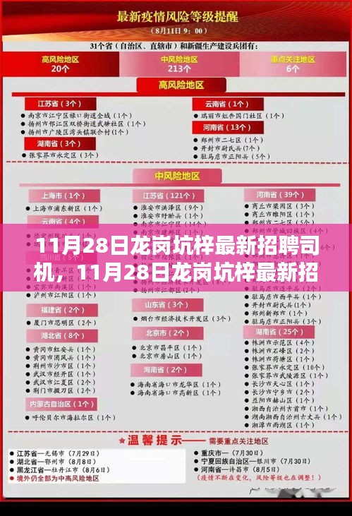 11月28日龙岗坑梓司机招聘最新信息及评测介绍