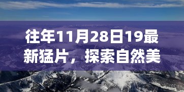 探索自然美景之旅，宁静的力量与幽默的旅程——最新猛片