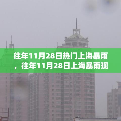 往年11月28日上海暴雨现象深度解析及影响探讨