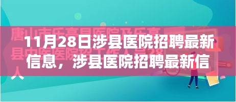 涉县医院招聘最新信息揭秘，医疗人才盛会盛大开启（11月28日）
