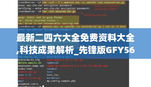 无影无踪 第3页