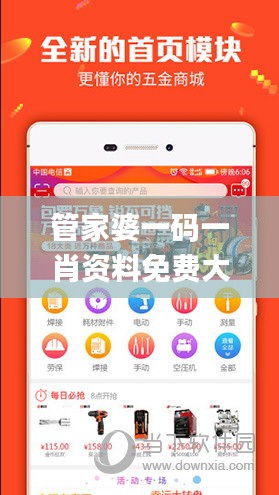 管家婆一码一肖资料免费大全,新式数据解释设想_进口版QNP9.699