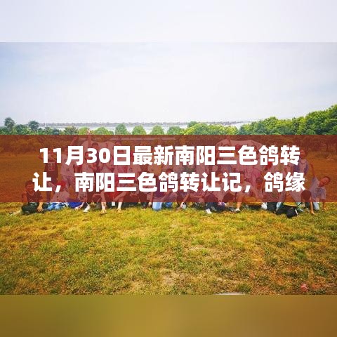 新闻动态 第303页