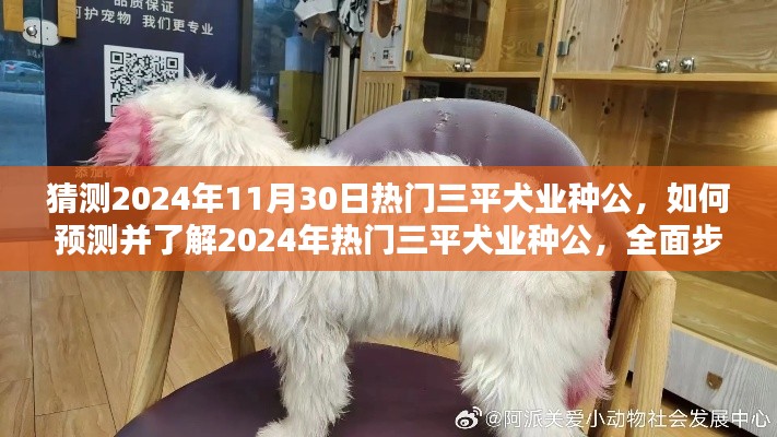 大张旗鼓 第2页
