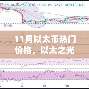 夯雀儿先飞 第3页