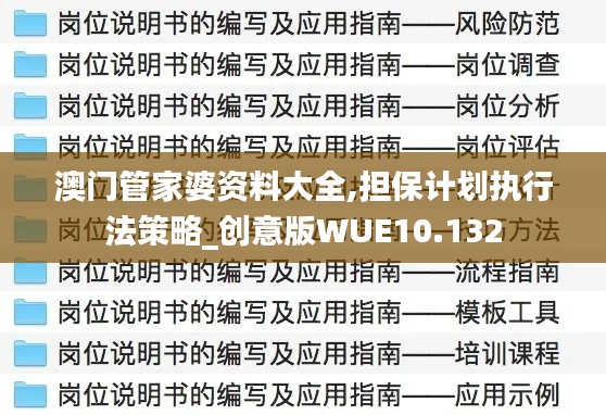 澳门管家婆资料大全,担保计划执行法策略_创意版WUE10.132