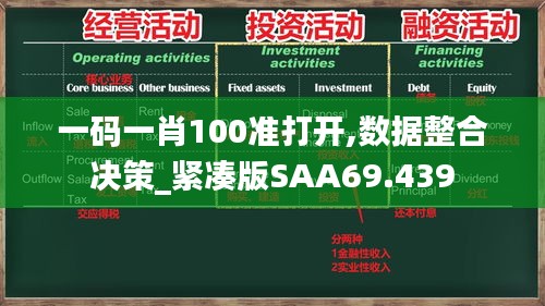 一码一肖100准打开,数据整合决策_紧凑版SAA69.439