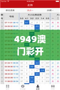 4949澳门彩开奖结果,专业解读评估_轻奢版JYM29.318