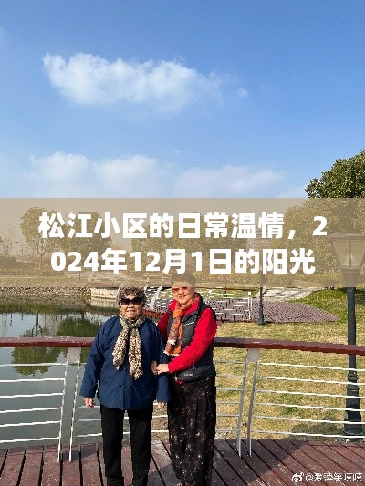 项目介绍 第250页