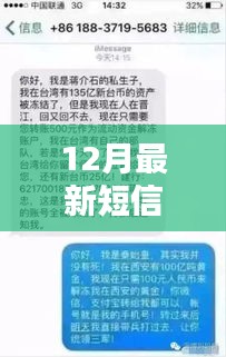 笑点背后的深意，探究12月最新短信笑话