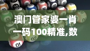 杳无音讯 第3页