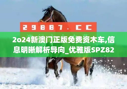 项目介绍 第248页