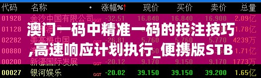 澳门一码中精准一码的投注技巧,高速响应计划执行_便携版STB91.623
