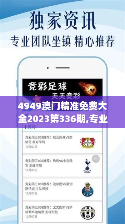 4949澳门精准免费大全2023第336期,专业调查具体解析_HLQ31.109钻石版