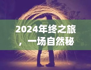 2024年终之旅，自然秘境中的清野狂欢，探寻内心宁静与平和的旅程