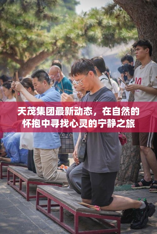 天茂集团自然之旅，心灵宁静的探寻