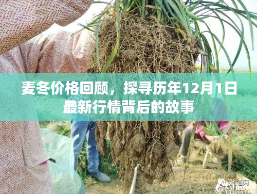 鸡飞狗跳 第2页