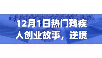 逆境中的辉煌，热门残疾人创业故事，12月1日特辑