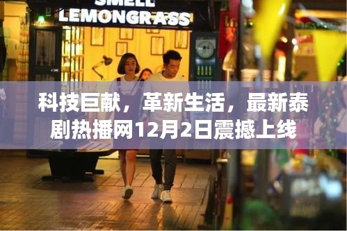 木乾鸟栖 第3页