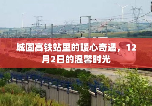 轻徙鸟举 第3页